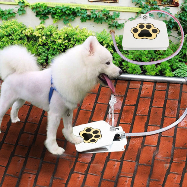 HydraPaw Water Fountain